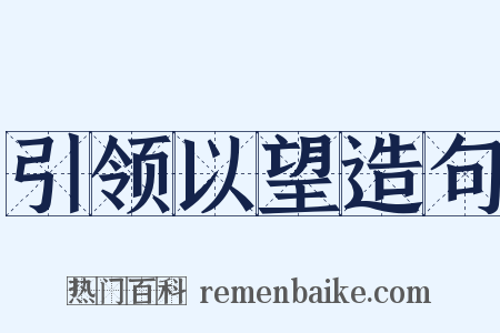 引领以望造句是什么意思的图片